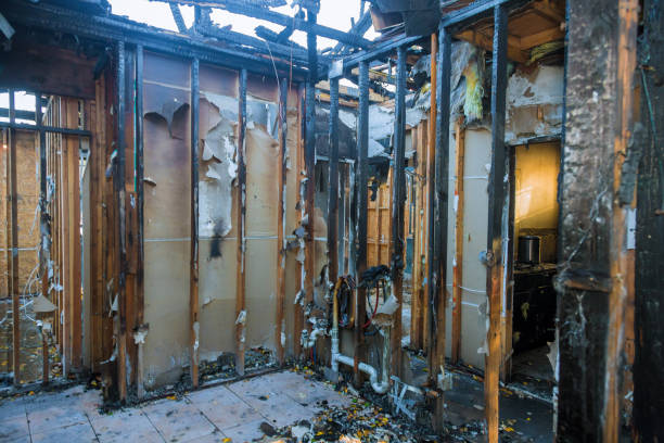 Professional Fire Damage Repair technician working in Wolfhurst, OH